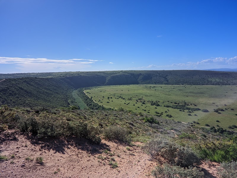 Amakhala Game Reserve - Amakhala Game Reserve, Paterson, 6130, South Africa