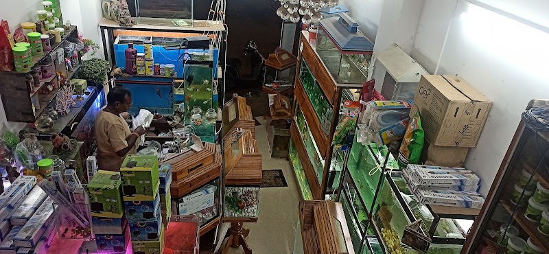 AR Fish hub - AR Fish hub, Street No. 1, Kohka, Bhilai, Chhattisgarh 490023, India