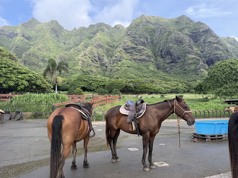 Kualoa Ranch & Secret Island Check-in Counter - Kualoa Ranch & Secret Island Check-in Counter, 49-560 Kamehameha Hwy, Kaneohe, HI 96744, USA