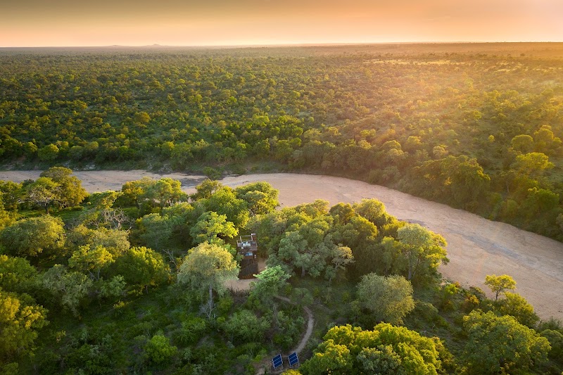 andBeyond Ngala Private Game Reserve - andBeyond Ngala Private Game Reserve, Timbavati, 1380, South Africa