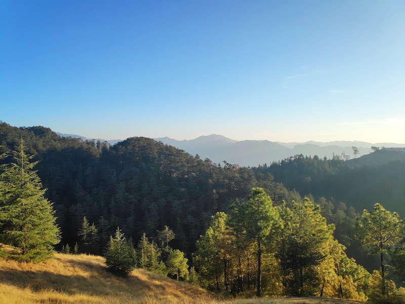 Hotel Nishal Homestay - Hotel Nishal Homestay, Teh, Sunni, Durgapur, Naldehra, Himachal Pradesh 171007, India