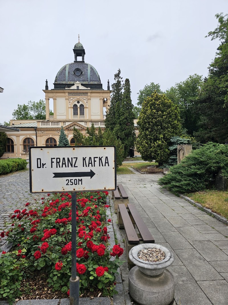 Friedhof Praha (Franz Kafka Grave) - Friedhof Praha (Franz Kafka Grave), Izraelská 1, 130 00 Praha 3, Czechia