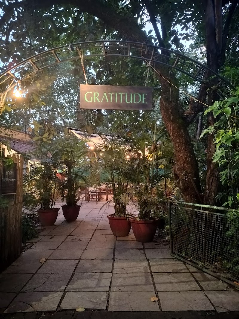 GRATITUDE - 💚 ( Vegan,Jain ) - GRATITUDE - 💚 ( Vegan,Jain ) house no 958, Pequeno Peddem, Monteiro Vaddo, Anjuna, Goa 403509, India