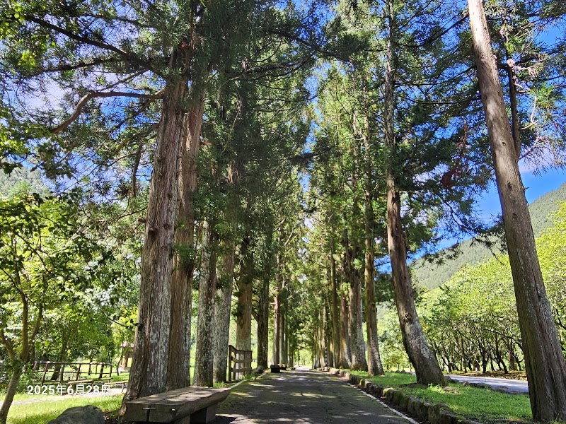 Wuling Farm - Wuling Farm No. 3-1號, Wuling Rd, Pingdeng Village, Heping District, Taichung City, Taiwan 42495