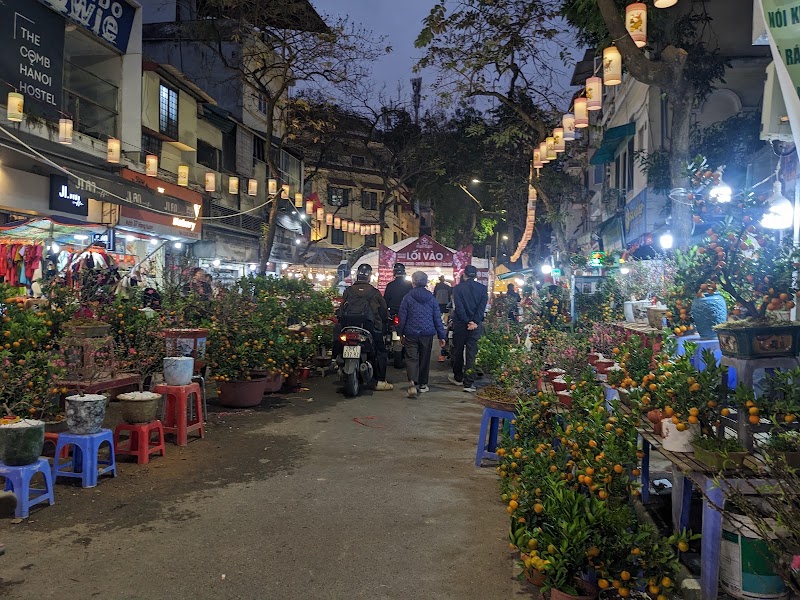 Hang Luoc Flower Market - Hang Luoc Flower Market, 45 P. Hàng Lược, Phố cổ Hà Nội, Hoàn Kiếm, Hà Nội, Vietnam