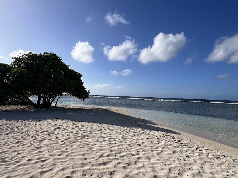 Savaneta Beach