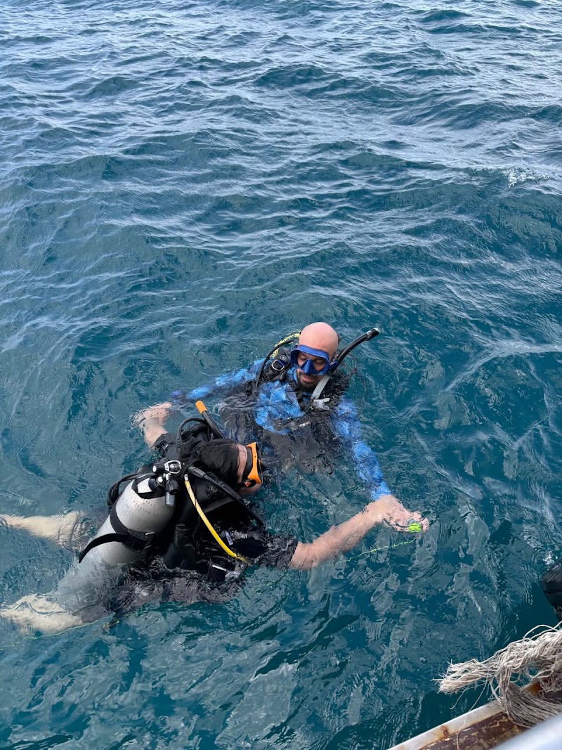 FIFTY SIX DIVE - FIFTY SIX DIVE, 10, Sairee Beach, 4, Tambon Ko Tao, Koh Tao, Chang Wat Surat Thani 84360, Thailand