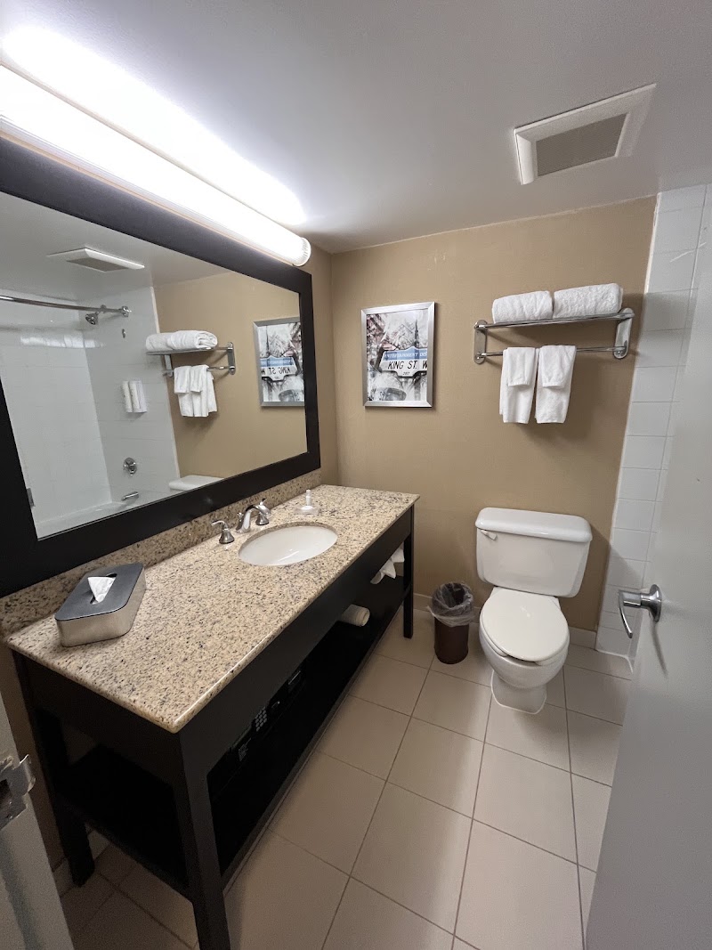 Chelsea Hotel, Toronto - Chelsea Hotel, Toronto 33 Gerrard St W, Toronto, ON M5G 1Z4, Canada