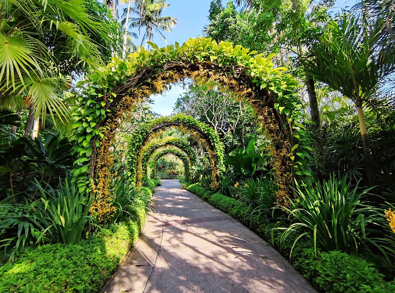Singapore Botanic Gardens - Singapore Botanic Gardens 1 Cluny Rd, Singapore 259569
