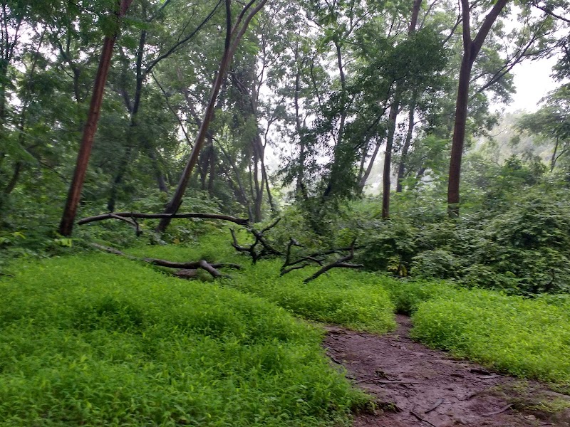 Vihar Lake - Vihar Lake 4WXC+6MP, Pipe Line Rd, Bhandup Complex, Khindipada, Bhandup West, Mumbai, Maharashtra 400082, India