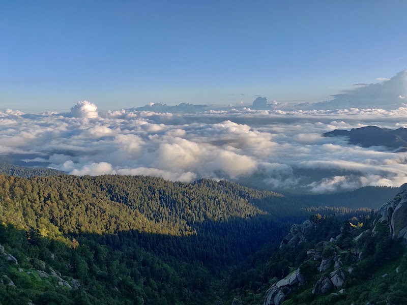 Churdhaar Peak - Churdhaar Peak, Himachal Pradesh 171211, India