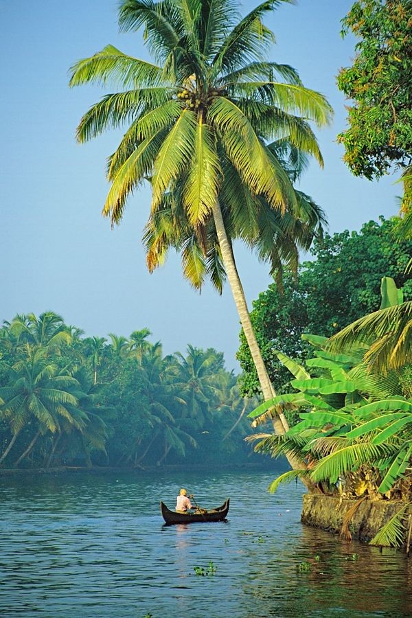 The Great Backwaters - The Great Backwaters G9G5+95J, Lake, Punnamada, Vembanad, Aryad South, Kerala 688006, India