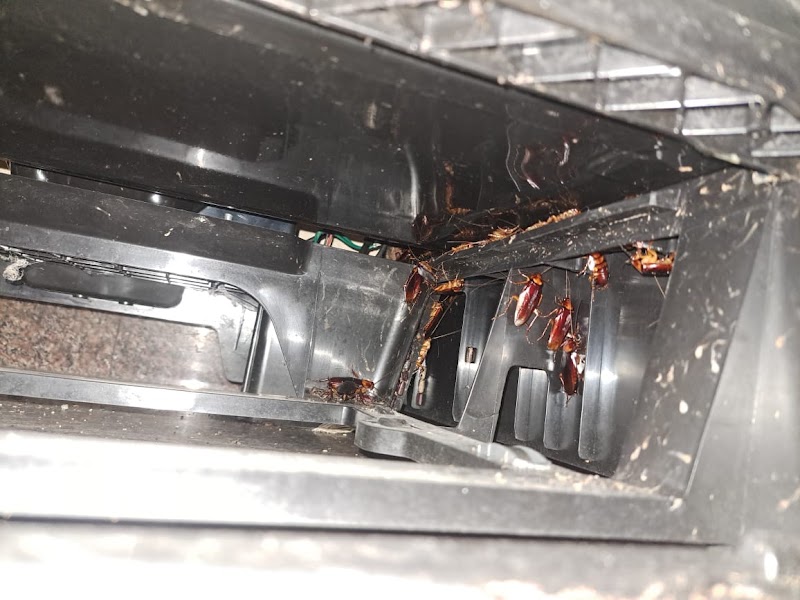 I Care Godrej Pest Control Services - I Care Godrej Pest Control Services, Govindraj nagar, Govindaraja Nagar Ward, Govindaraja Nagar, Vijayanagar, Bengaluru, Karnataka 560040, India