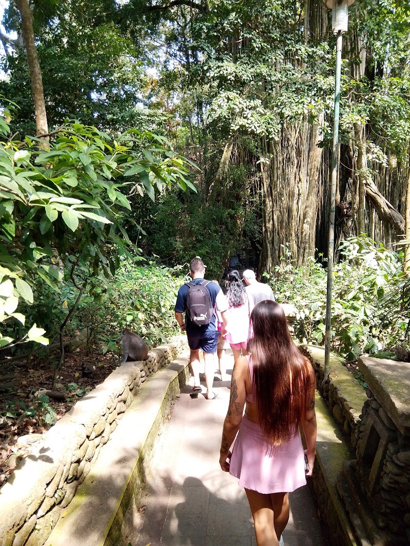 Ubud driver - Ubud driver, Petulu, Ubud, Gianyar Regency, Bali 80561, Indonesia