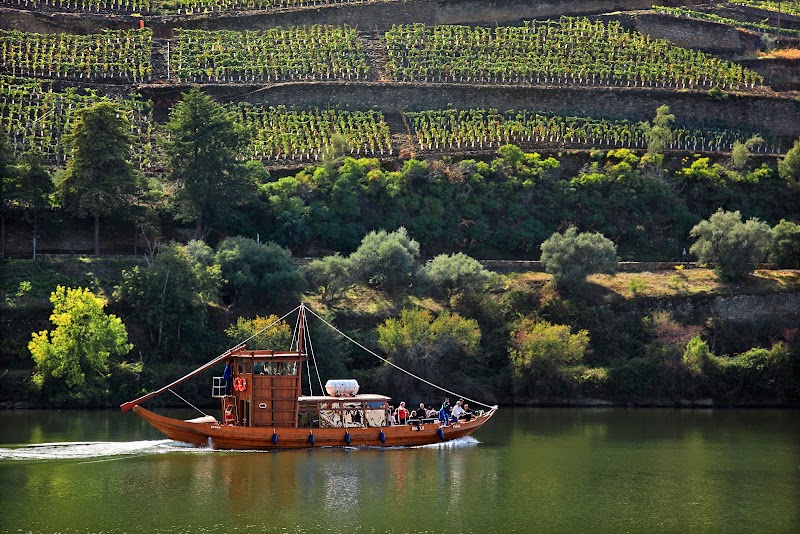 Cruzeiros Douro - Cruzeiros Douro, Praça de Mouzinho de Albuquerque 113 Lj 70, 4100-359 Porto, Portugal