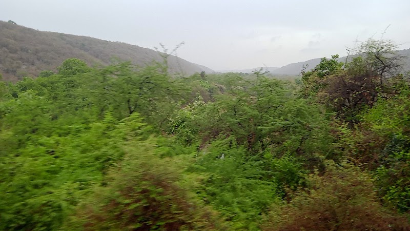 Mukundara Hills Tiger Reserve - Mukundara Hills Tiger Reserve Q2W5+HCR, Kota, Rajasthan 325602, India