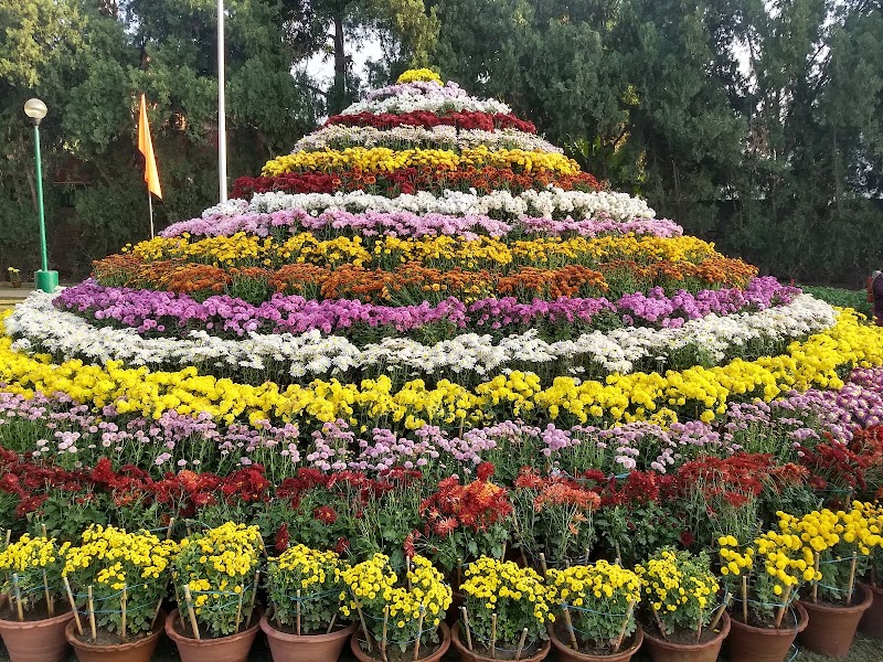 Terraced Garden - Terraced Garden 33 Market Rd, Sector 33B, Sector 33, Chandigarh, 160020, India