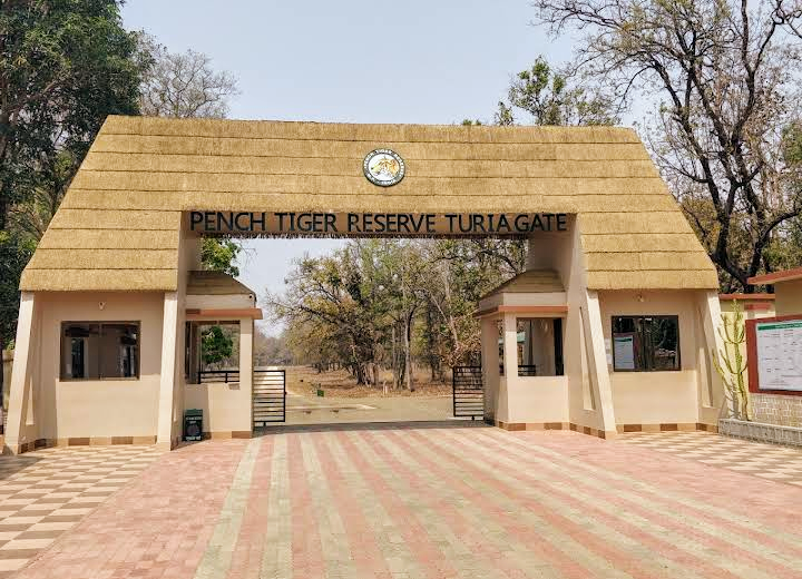 Pench National Park Turia Gate