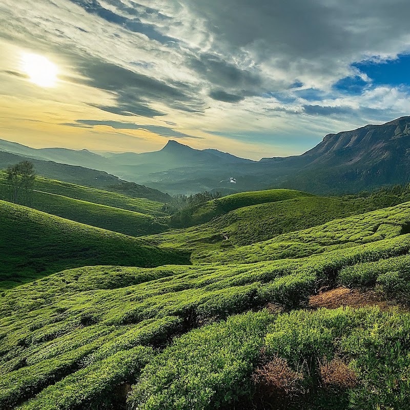MUNNAR ,MARAYUR & KANTHALLOOR ROOMS &TOUR PACKAGES🌿🌄⛰️🌇