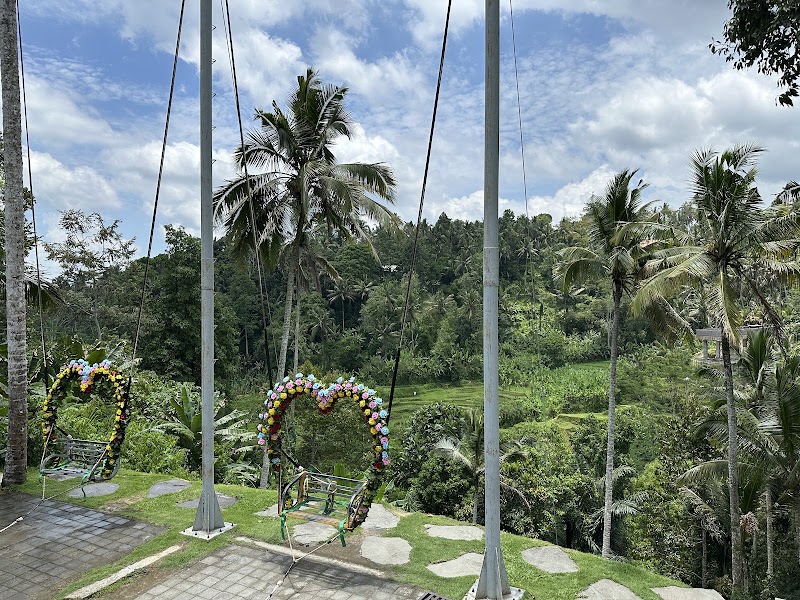 HAPPY SWING BALI - HAPPY SWING BALI Tegallalang, Gianyar Regency, Bali 80561, Indonesia