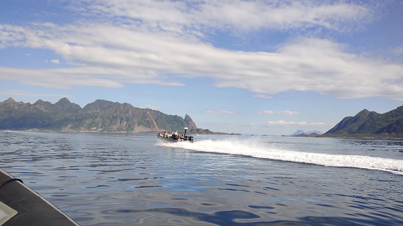 RIB-Lofoten - RIB-Lofoten Torget, 8300 Svolvær, Norway