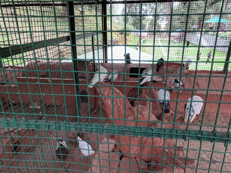 Bhulla Taal - Bhulla Taal Lansdowne, Uttarakhand 246155, India