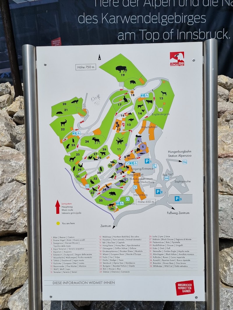 Alpenzoo Innsbruck - Tirol - Alpenzoo Innsbruck - Tirol Weiherburggasse 37a, 6020 Innsbruck, Austria