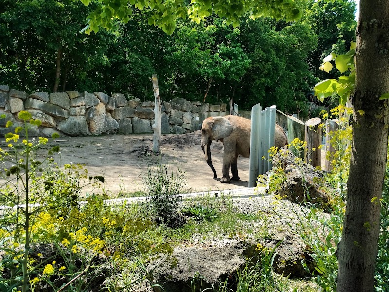 Schönbrunn Zoo - Schönbrunn Zoo, Maxingstraße 13b, 1130 Wien, Austria