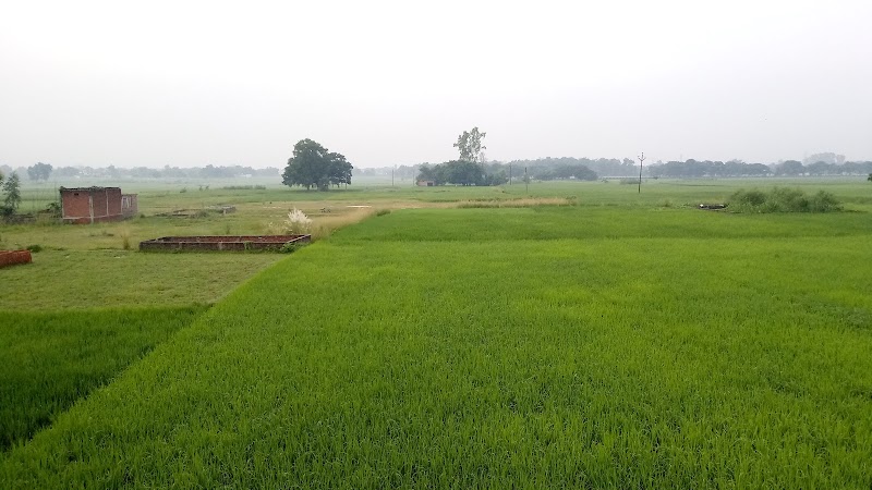 Mau - Mau, Uttar Pradesh, India