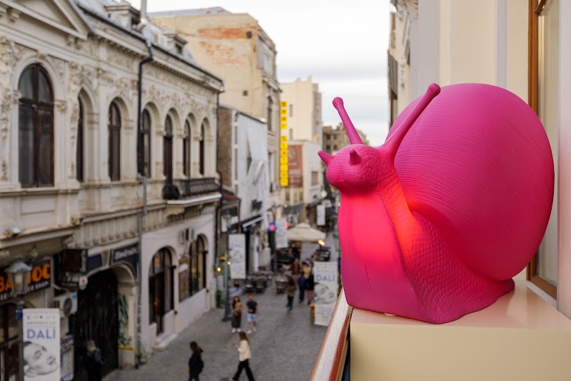 Old Town Snail