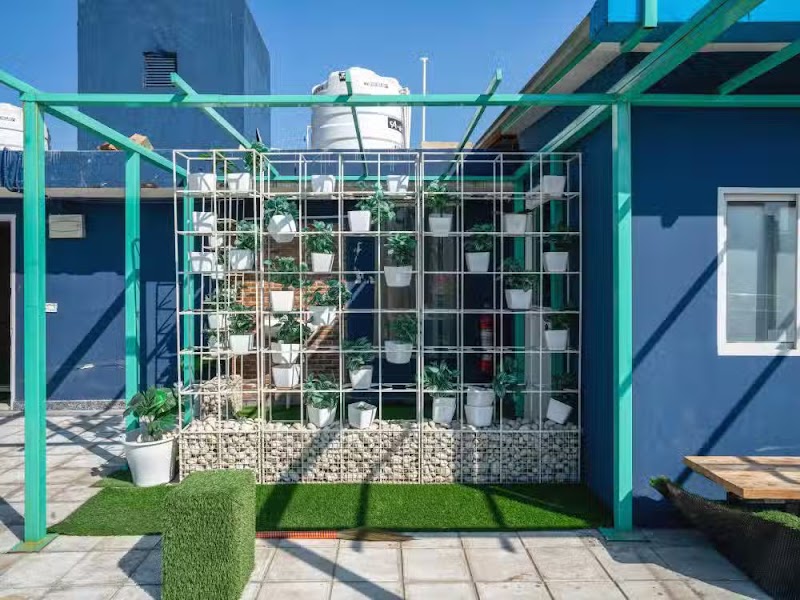 Stanza Living San Diego House | PG for Females in North Campus - Stanza Living San Diego House | PG for Females in North Campus 34A, Block D, Vijay Nagar, New Delhi, Delhi, 110033, India
