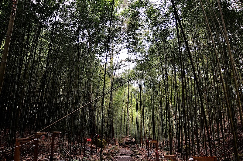 Basianshan National Forest Recreation Area - Basianshan National Forest Recreation Area, No. 200之8號, Section 1, Dongguan Rd, Bo'ai Village, Heping District, Taichung City, Taiwan 424