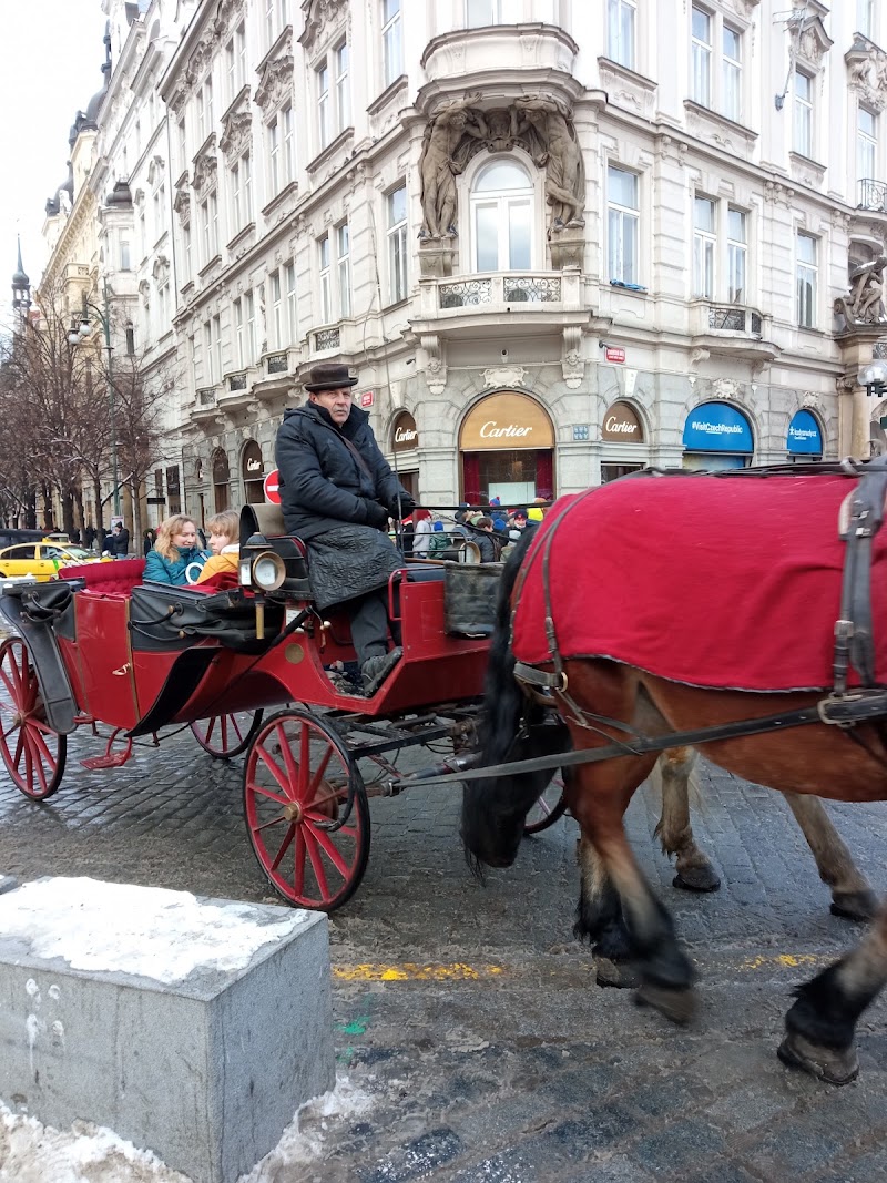 Bohemia - Bohemia, 110 00 Prague-Prague 1, Czechia