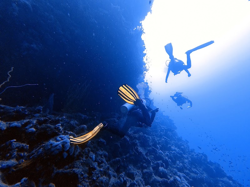 Blue Lagoon Diving Center Sharm el Sheikh - Blue Lagoon Diving Center Sharm el Sheikh, El Montaza, Ras Nasrani, South Sinai Governorate 46619, Egypt