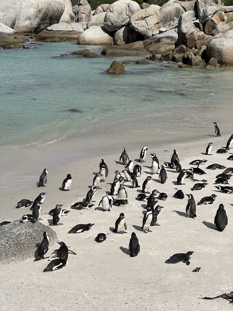 Foxy Beach - Foxy Beach, Kleintuin Rd, Simon's Town, Cape Town, 7995, South Africa