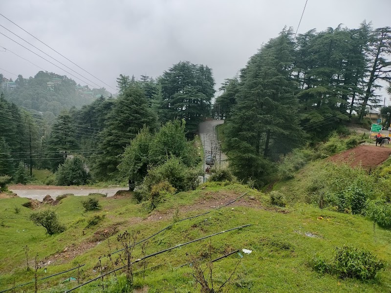 The Lake Cottage - The Lake Cottage The Lake Cottage, Near, Dal Lake-Mcleod Ganj, McLeod Ganj, Dharamshala, Jangal Reserve Banoi, Himachal Pradesh 176216, India