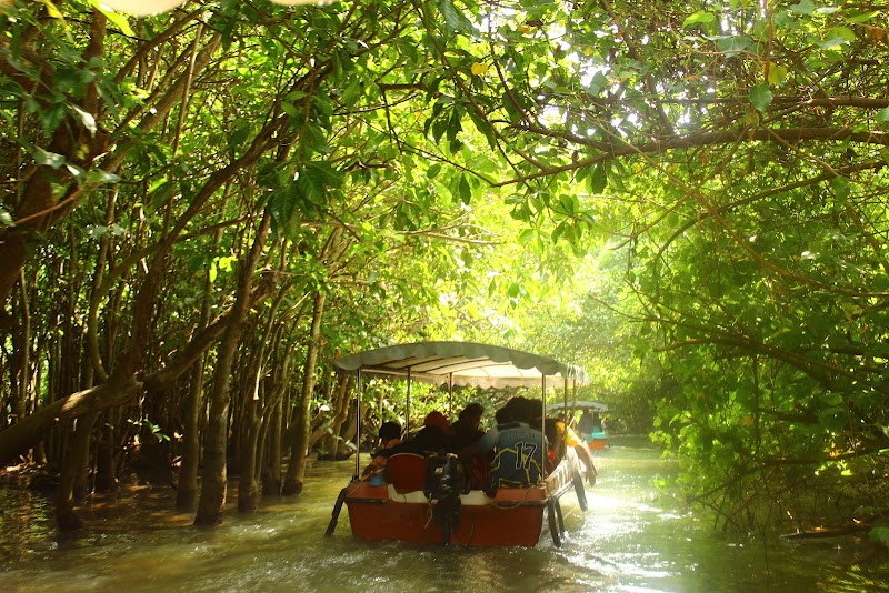 Poovar boat service - Poovar boat service 839C+38J, Poovar Island Beach Rd, Poovar, Kulathoor, Kerala 695525, India