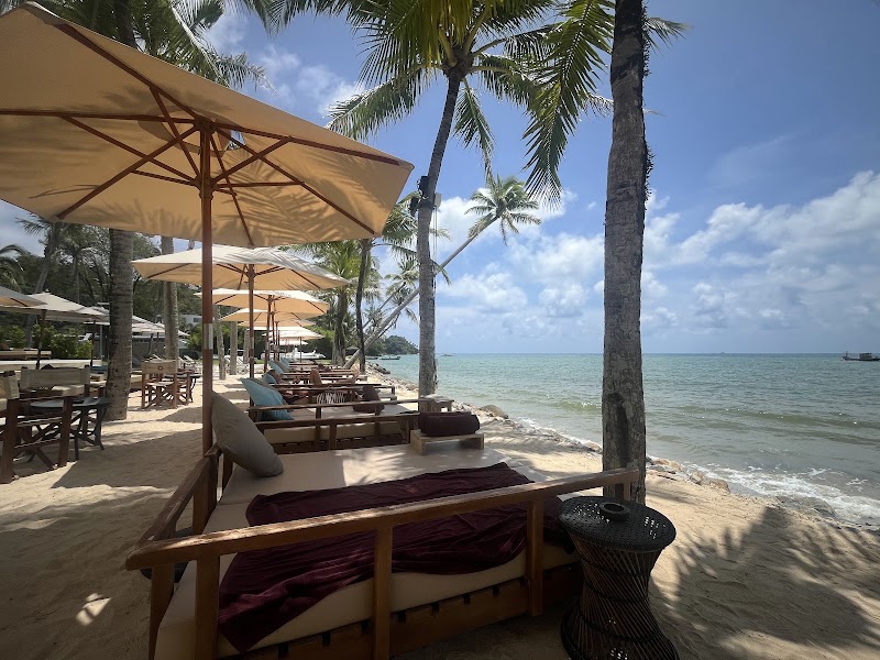Carpe Diem Beach Club - Phuket - Carpe Diem Beach Club - Phuket 99, 1 Bangtao Beach Road, Tambon Choeng Thale, Amphoe Thalang, Chang Wat Phuket 83110, Thailand