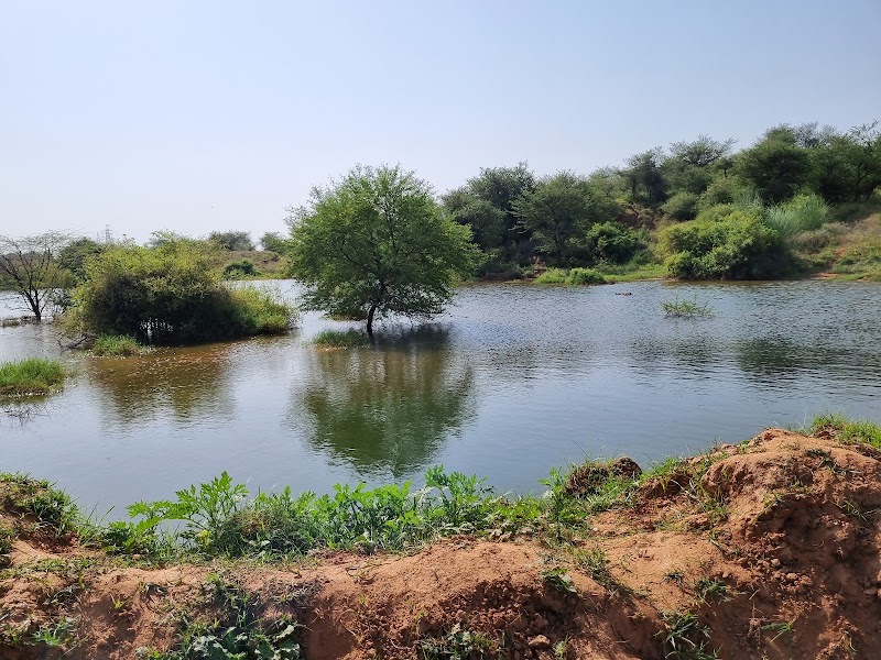 Aravali Hills in Gurgaon