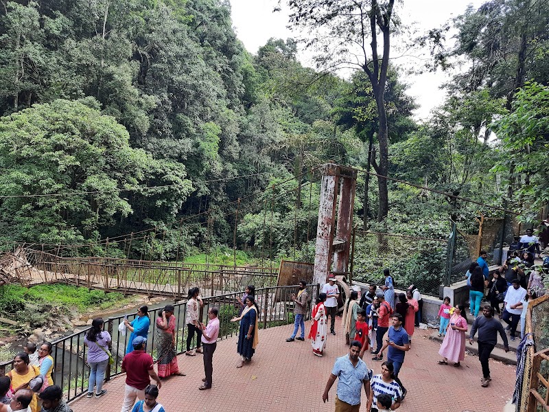 Abbi Waterfall - Abbi Waterfall Abbey Falls Rd, Hebbettageri, Karnataka 571202, India