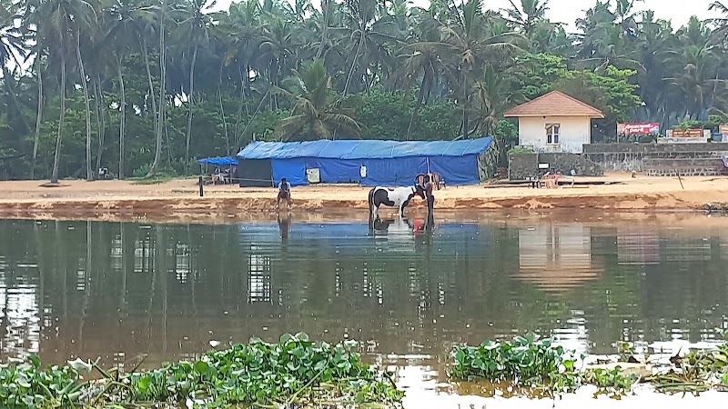 Kochuveli Beach - Kochuveli Beach, Madhavapuram Colony, Veli, Thiruvananthapuram, Keralam 695021, India