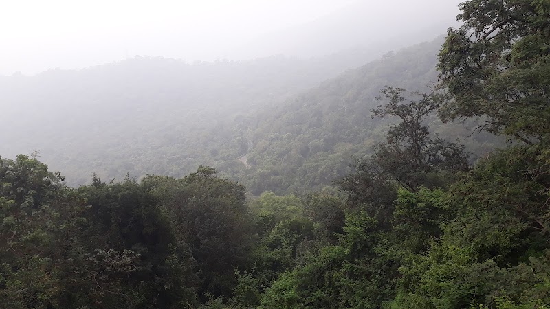 Ooty Viewpoint
