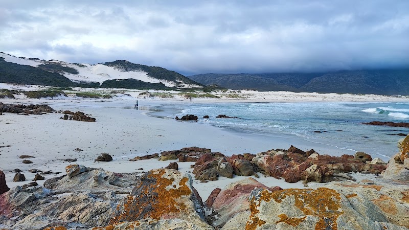 Silver Sands Beach - Silver Sands Beach, Central Way, Betty's Bay, 7141, South Africa