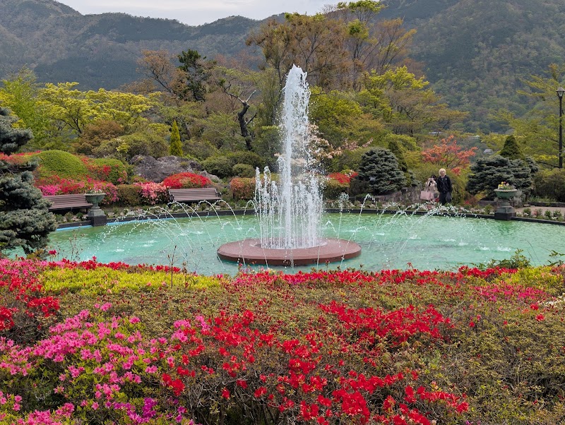 Hakone Gora Park