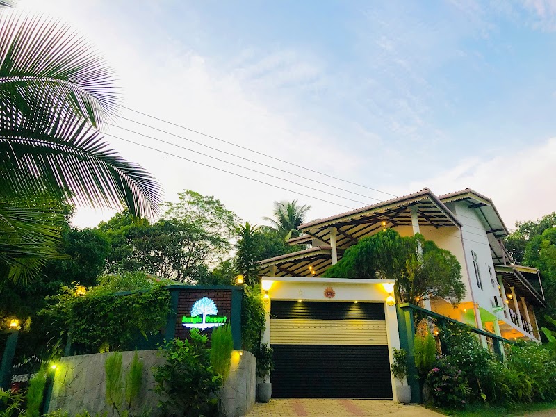 Jungle Resort