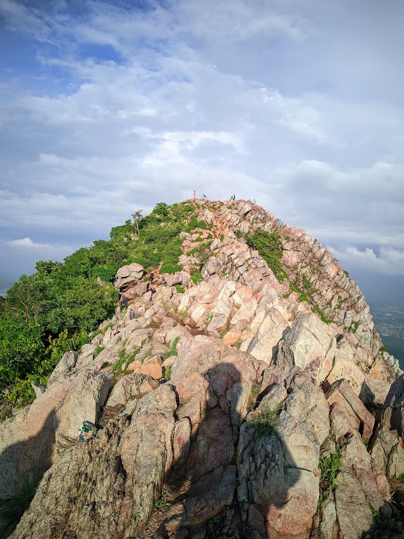 Shree Shidhha Muni Aashram, Dalha Giri - Shree Shidhha Muni Aashram, Dalha Giri, 3CW5+VMQ, Dalhadamami, Chhattisgarh 495552, India
