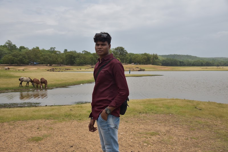 Hide Place Balod - Hide Place Balod, M5H5+F56, Borid, Mullegura, Chhattisgarh 491226, India