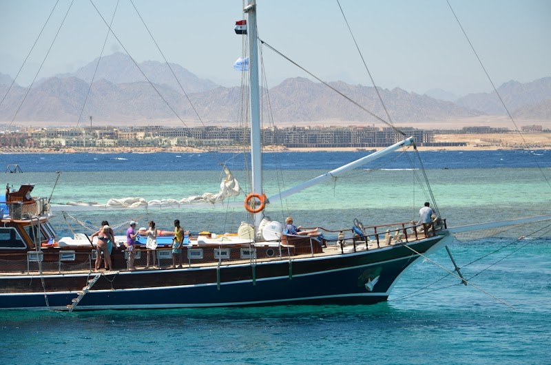 Blue Lagoon Diving Center Sharm el Sheikh - Blue Lagoon Diving Center Sharm el Sheikh, El Montaza, Ras Nasrani, South Sinai Governorate 46619, Egypt