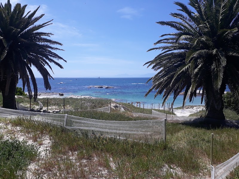 Simon’s Town Navy Sports Field - Simon’s Town Navy Sports Field, Simon's Town, Cape Town, 7975, South Africa