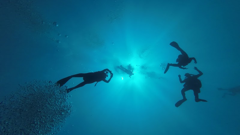 Manta Queen Liveaboard - Manta Queen Liveaboard 13/47 Building B Moo 7 T. Khuk Khak A. Takuapa, ตำบลคึกคัก อำเภอตะกั่วป่า พังงา 82220, Thailand